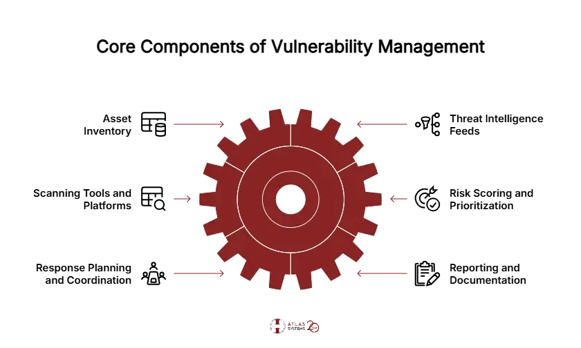 Identify the Main Components of Vulnerability Management and Assessment - visual selection