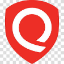 qualys favicon